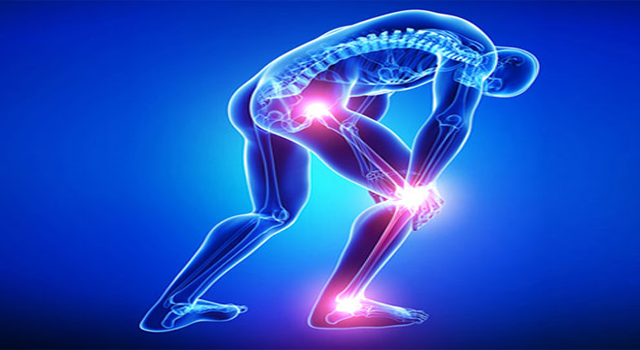 Orthopaedic