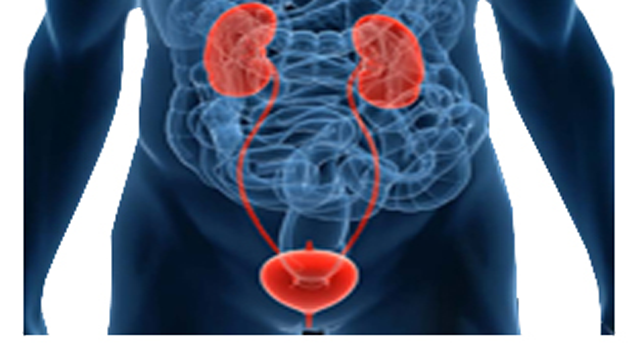 urology